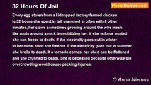 O Anna Niemus - 32 Hours Of Jail