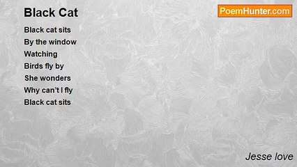 Jesse love - Black Cat