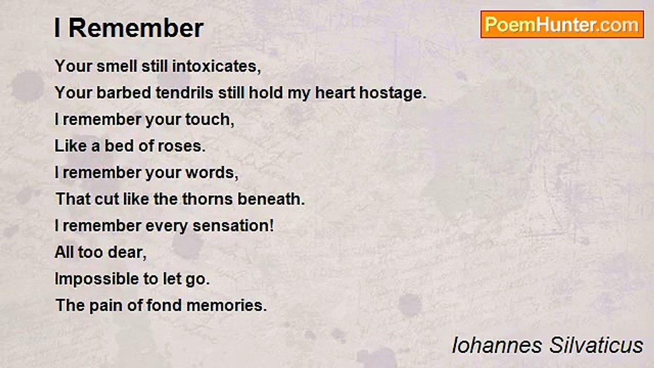 Iohannes Silvaticus - I Remember
