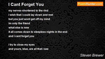 Steven Brewer - I Cant Forget You