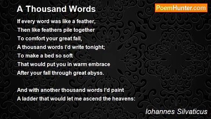 Iohannes Silvaticus - A Thousand Words