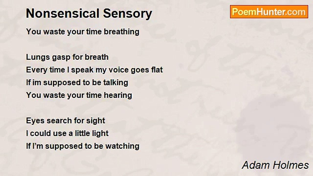 Adam Holmes - Nonsensical Sensory