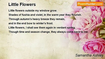 Samantha Ashley - Little Flowers