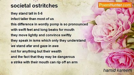 hamid kareem - societal ostritches