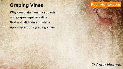 O Anna Niemus - Graping Vines