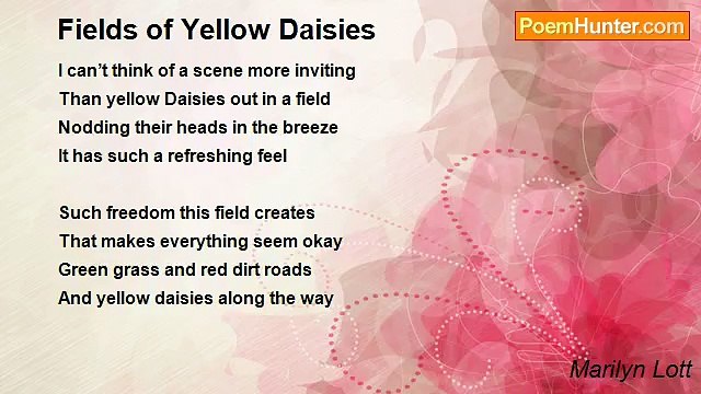 Marilyn Lott - Fields of Yellow Daisies