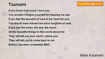 Wael Karameh - Tsunami