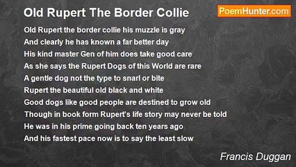 Francis Duggan - Old Rupert The Border Collie