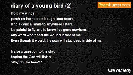 kite remedy - diary of a young bird (2)