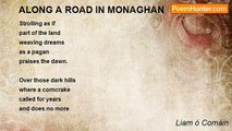 Liam ó Comáin - ALONG A ROAD IN MONAGHAN