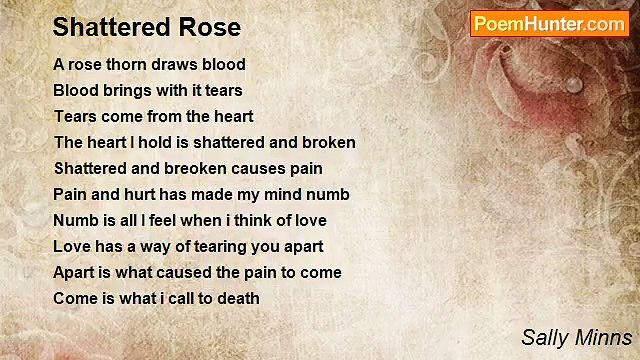 Sally Minns - Shattered Rose