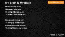 Peter S. Quinn - My Brain Is My Brain