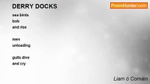 Liam ó Comáin - DERRY DOCKS