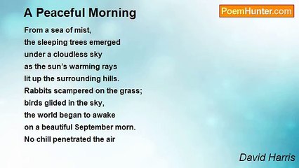 David Harris - A Peaceful Morning