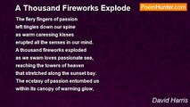 David Harris - A Thousand Fireworks Explode