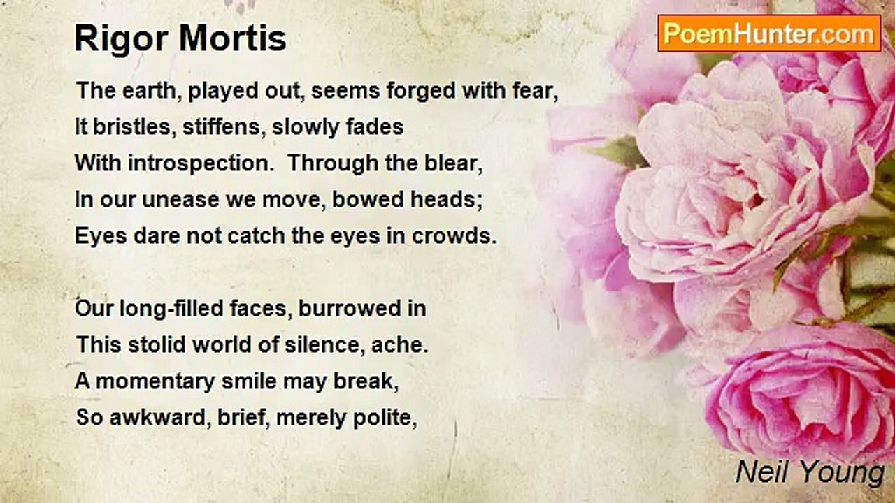 Neil Young - Rigor Mortis