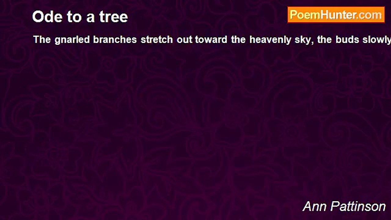 Ann Pattinson - Ode to a tree