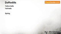 W.I. Stoneberger - Daffodills