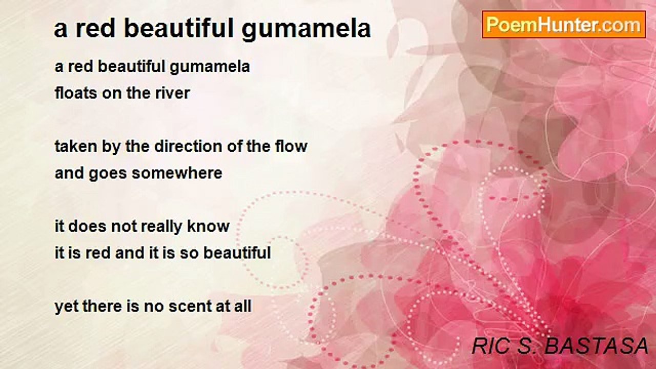 RIC S. BASTASA - a red beautiful gumamela