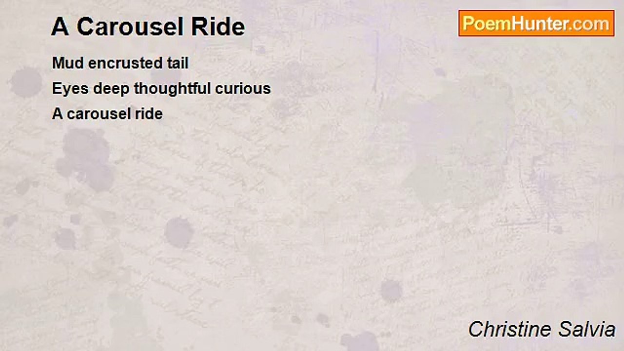 Christine Salvia - A Carousel Ride