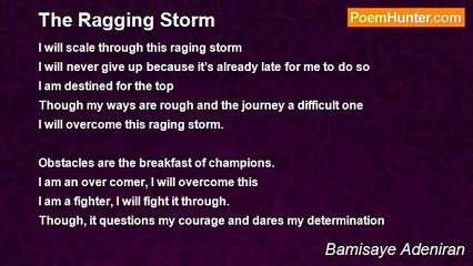 Bamisaye Adeniran - The Ragging Storm