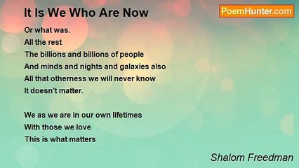 Shalom Freedman - It Is We Who Are Now