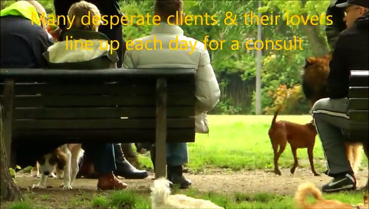 ANIMAL Relational Therapy - Romanticismo con Perros