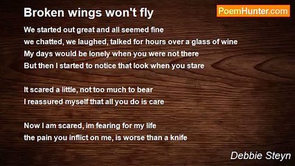 Debbie Steyn - Broken wings won't fly