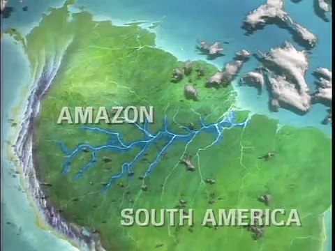 Дождевые леса Амазонии, часть 2