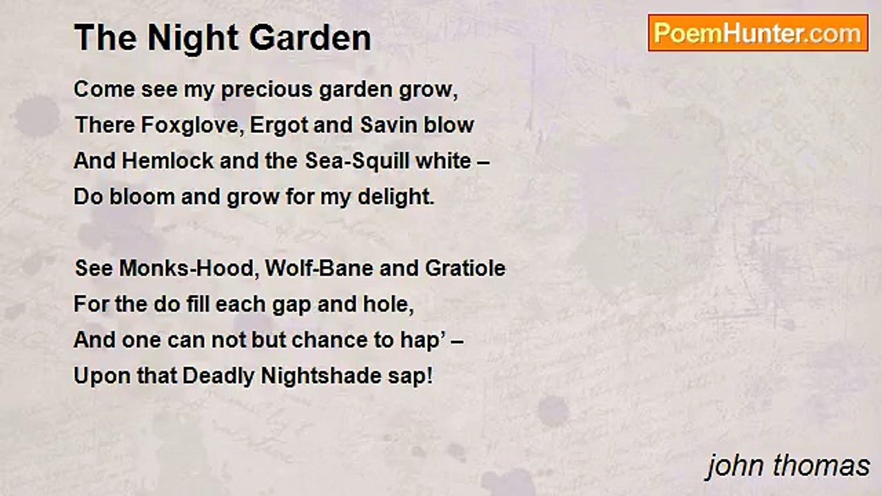 john thomas - The Night Garden