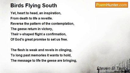Steven B Taylor - Birds Flying South
