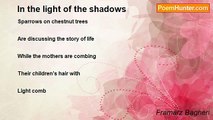 Framarz Bagheri - In the light of the shadows