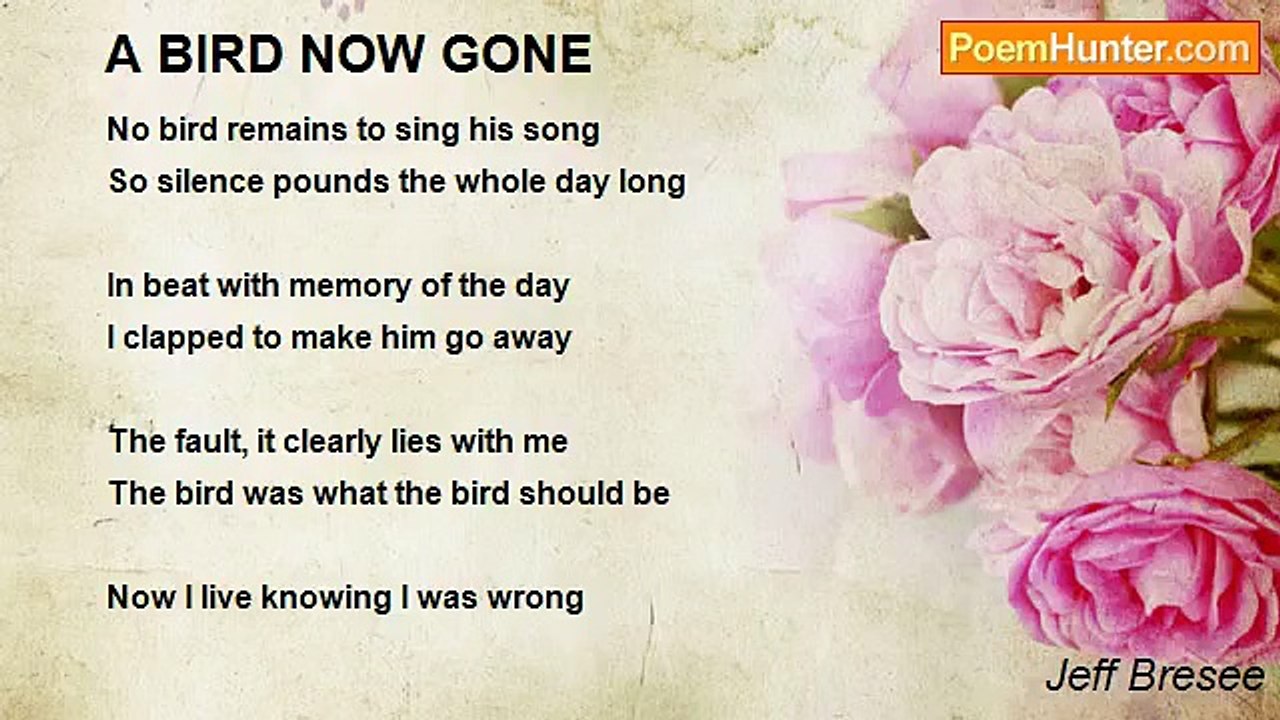 Jeff Bresee - A BIRD NOW GONE