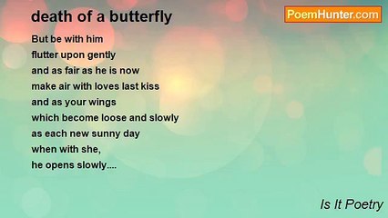 Is It Poetry - death of a butterfly