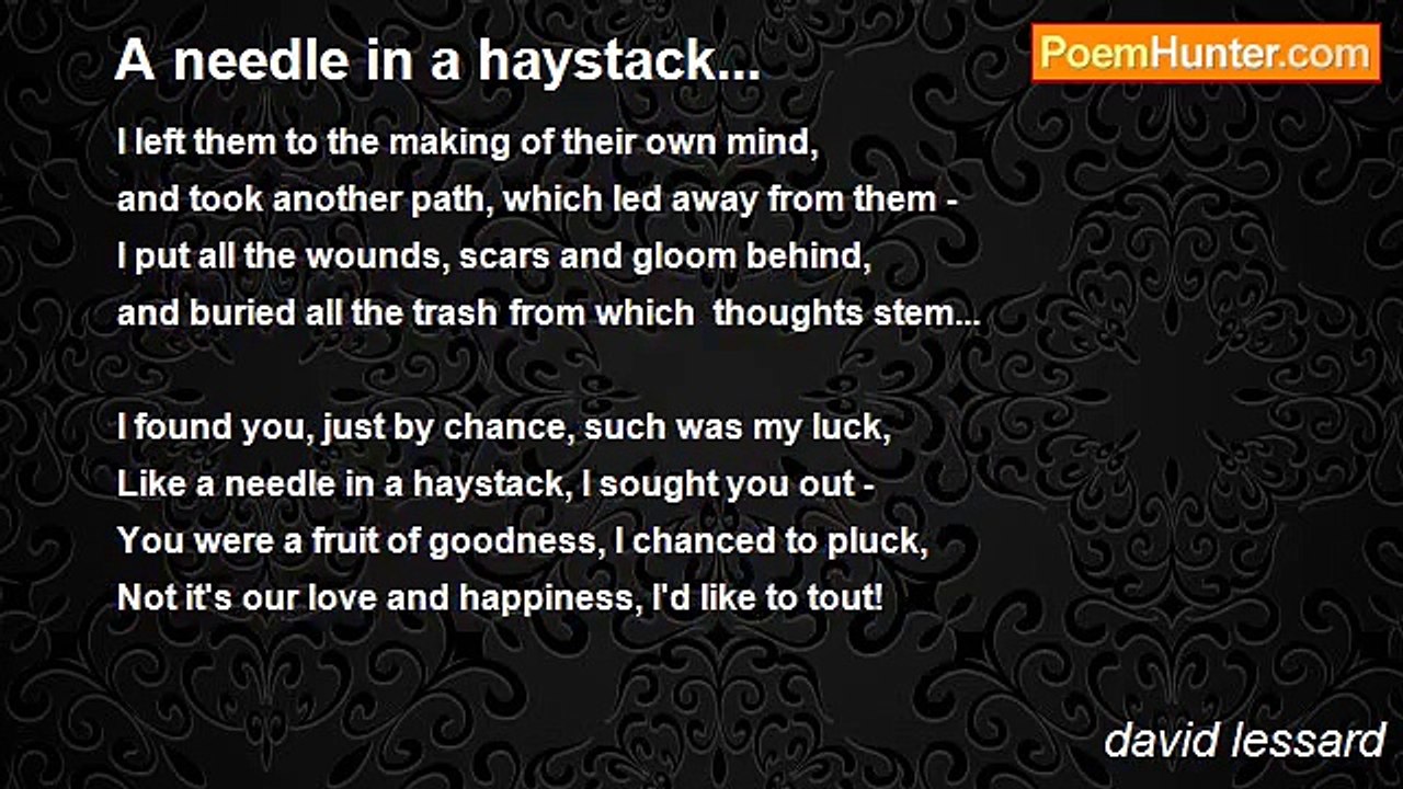 david lessard - A needle in a haystack...