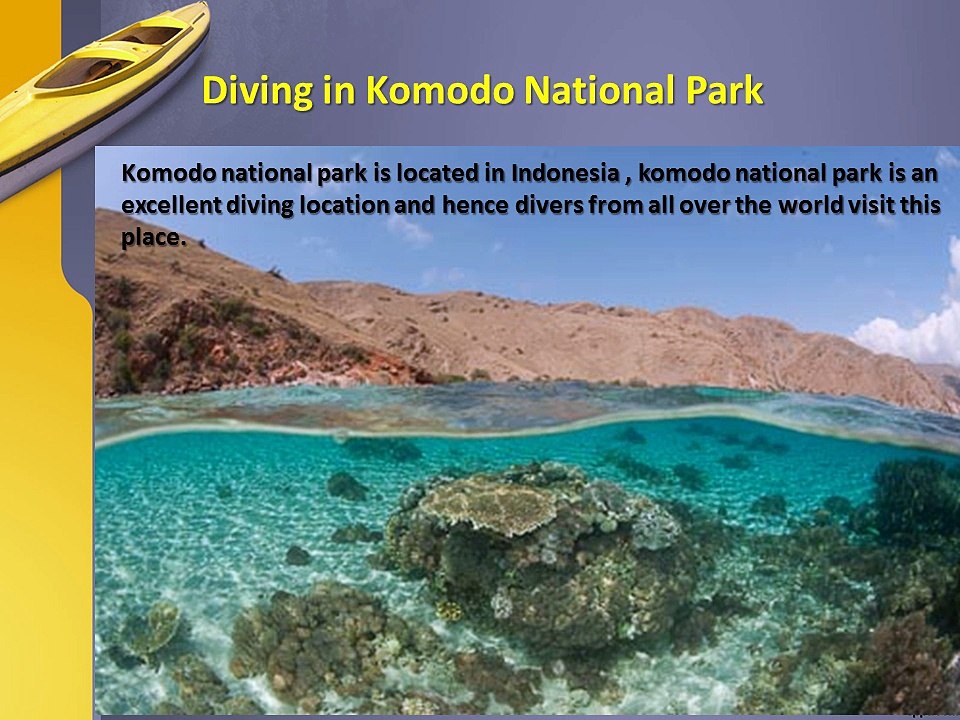 Diving in Komodo National Park