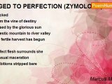 Marcus McKinley - AGED TO PERFECTION (ZYMOLOGY)