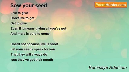 Bamisaye Adeniran - Sow your seed