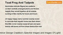 Terence George Craddock (Spectral Images and Images Of Light) - Toad Frog And Tadpole