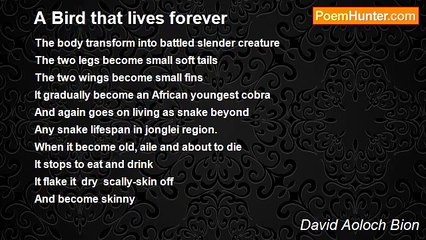 David Aoloch Bion - A Bird that lives forever