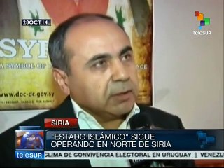 Siria: terrorismo islámico amenaza seguridad regional