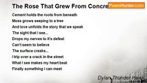 Dylan Thunder Hawk - The Rose That Grew From Concrete