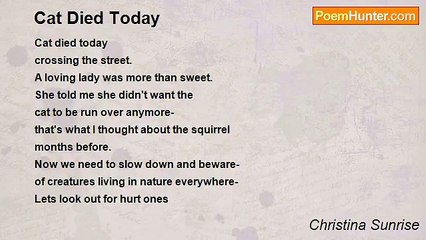 Christina Sunrise - Cat Died Today