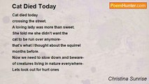 Christina Sunrise - Cat Died Today