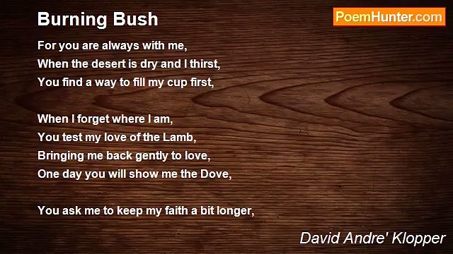 David Andre' Klopper - Burning Bush