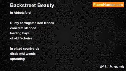 M.L. Emmett - Backstreet Beauty