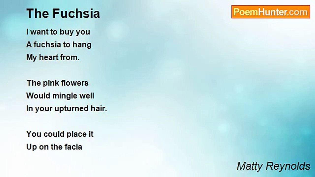 Matty Reynolds - The Fuchsia