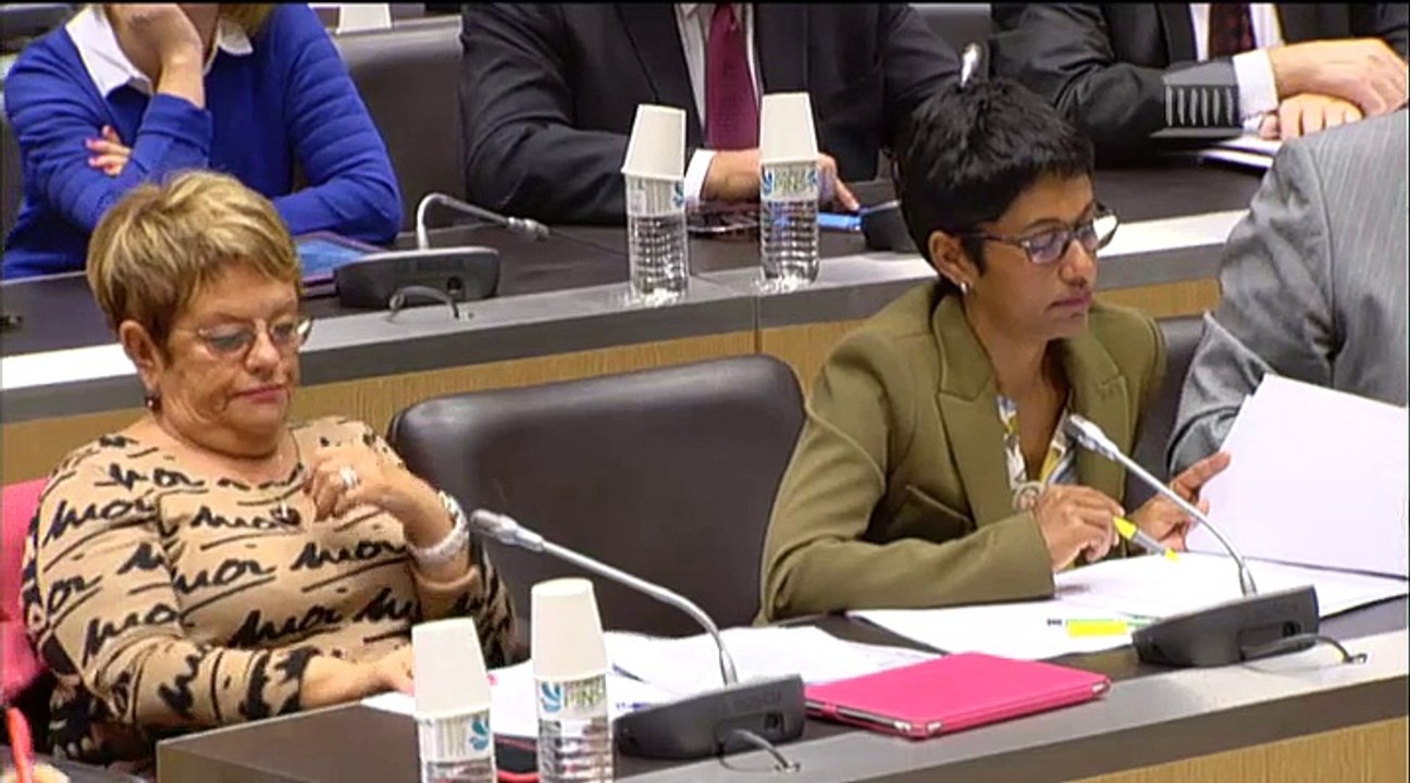 Intervention de Daniel Goldberg à l'Assemblée nationale le 29 octobre 2014 sur le budget du Logement pour 2015