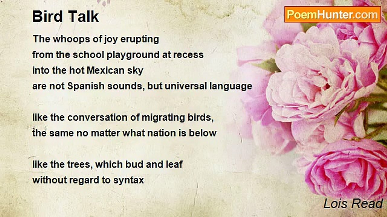 Lois Read - Bird Talk