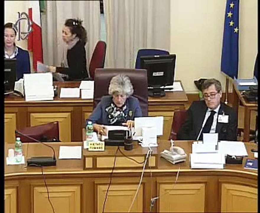 Roma - Scienze geologiche, audizione esperti (28.10.14)